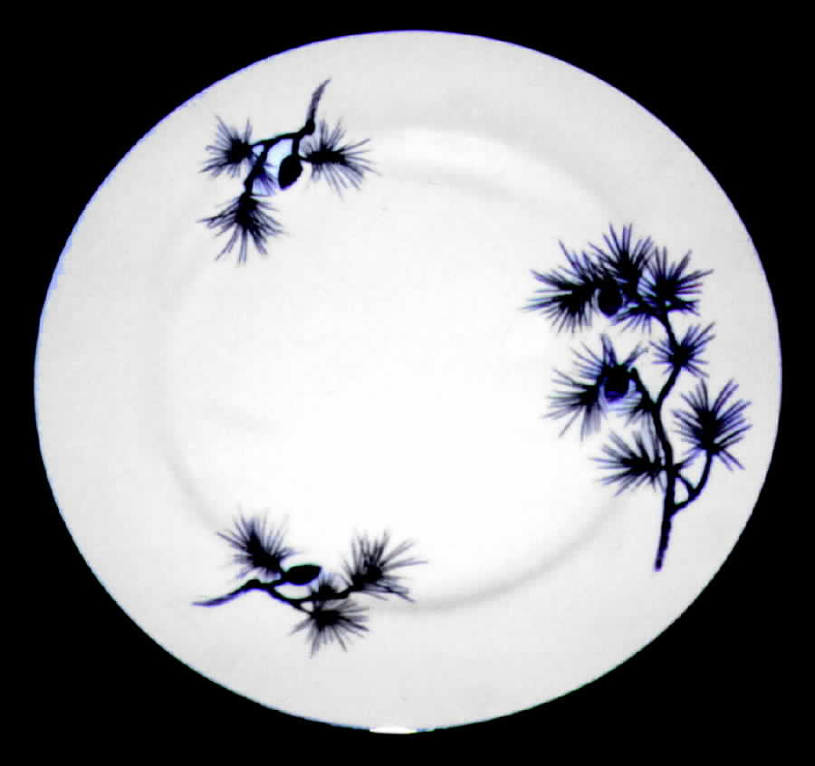 CRF5 Dinner Plate by Craftsman (Japan)-1