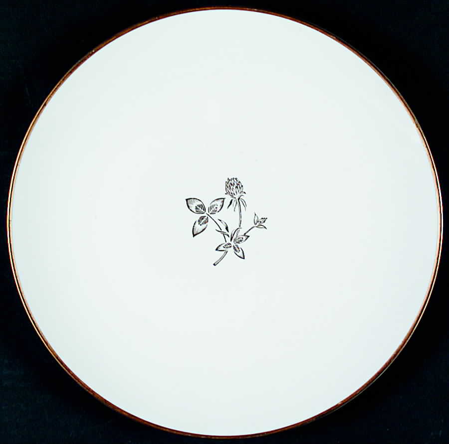 Goodyears Dinner Plate by Craftsman (Japan)-1