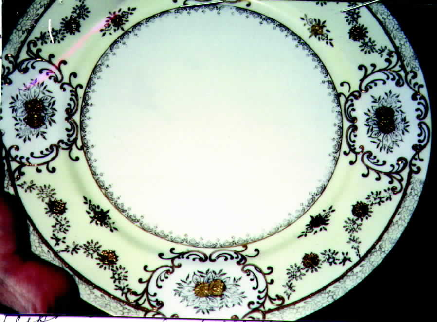 Harmony Dinner Plate by Craftsman (Japan)-1