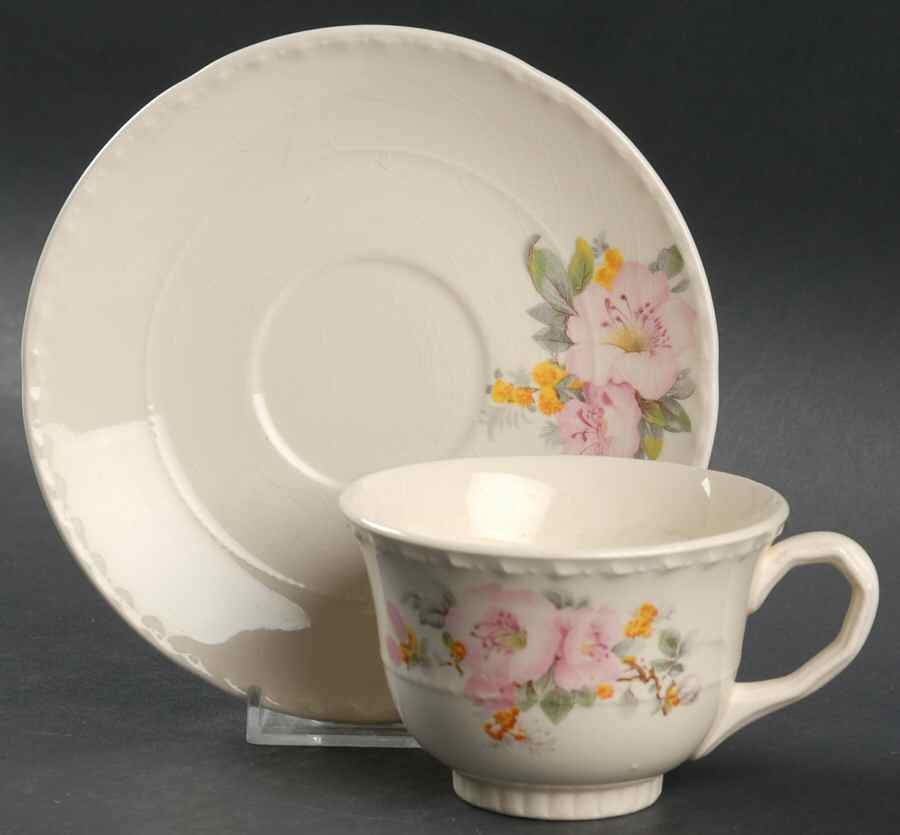 Apple Blossom Flat Cup & Saucer Set by Crooksville-1