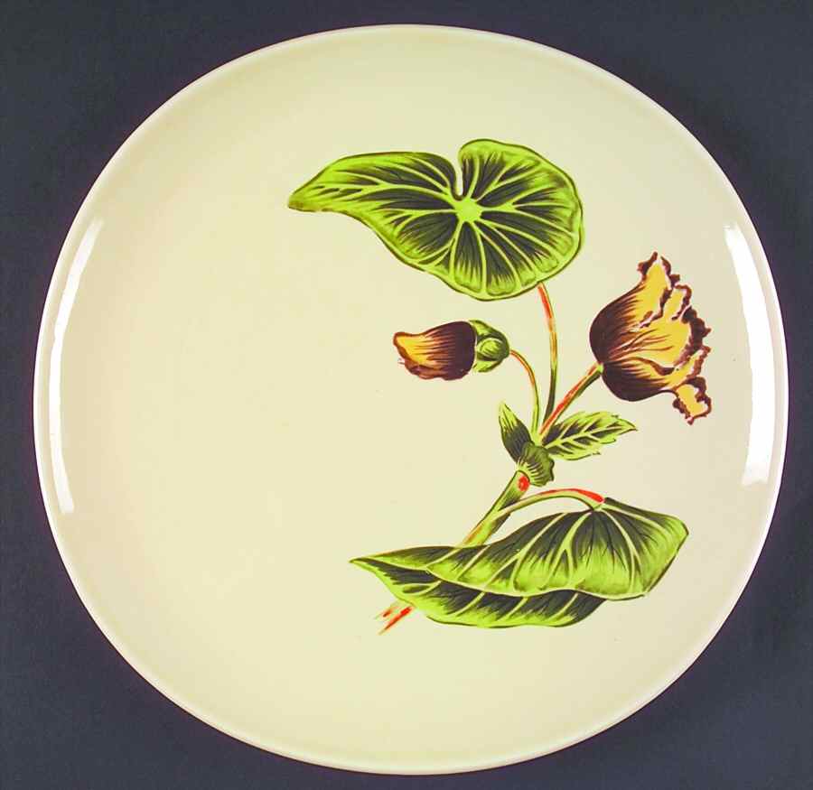 Berkley Dinner Plate by Crooksville-1