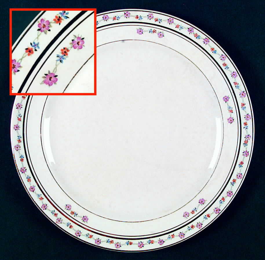 CRO20 Dinner Plate by Crooksville-1