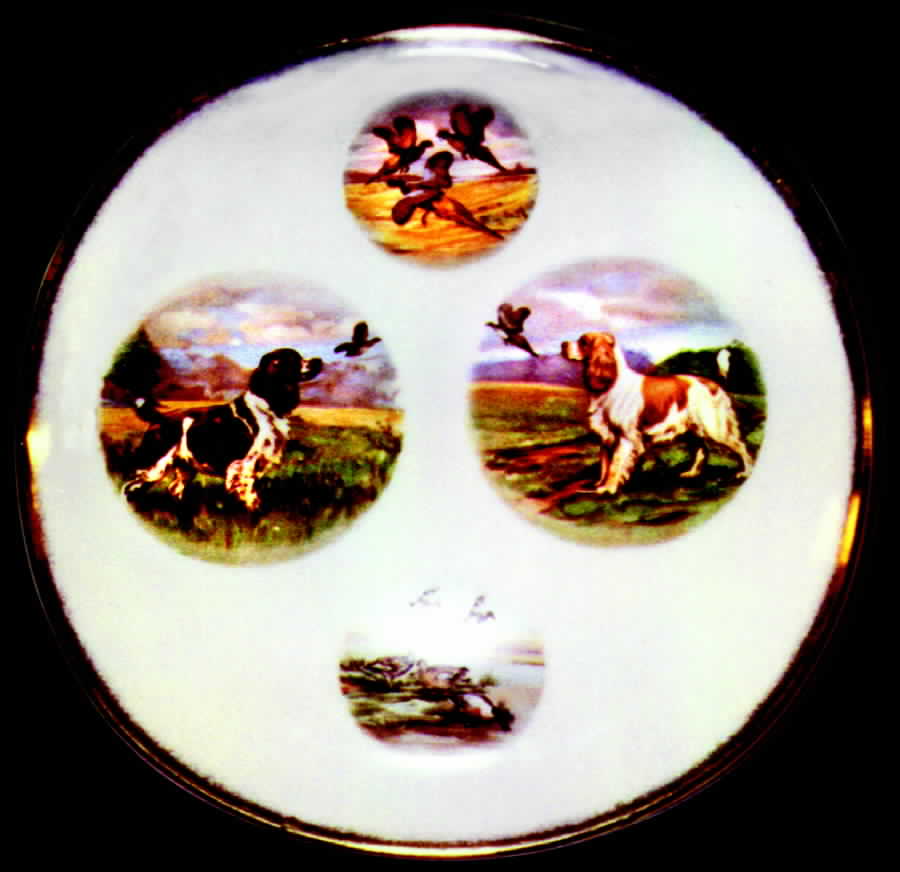 CRO21 Dinner Plate by Crooksville-1