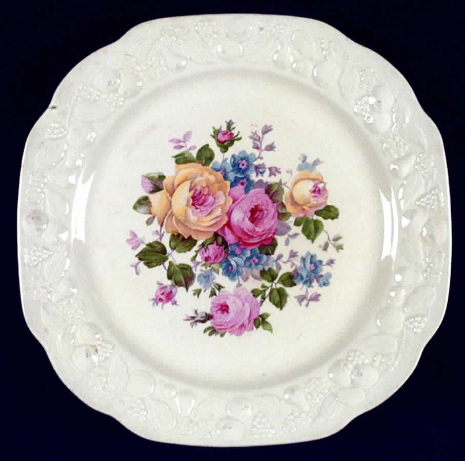 CRO24 Dinner Plate by Crooksville-1