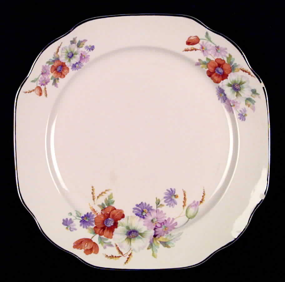 CRO25 Dinner Plate by Crooksville-1