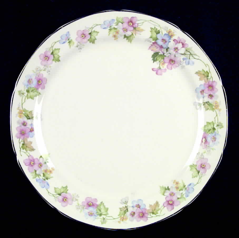CRO28 Dinner Plate by Crooksville-1