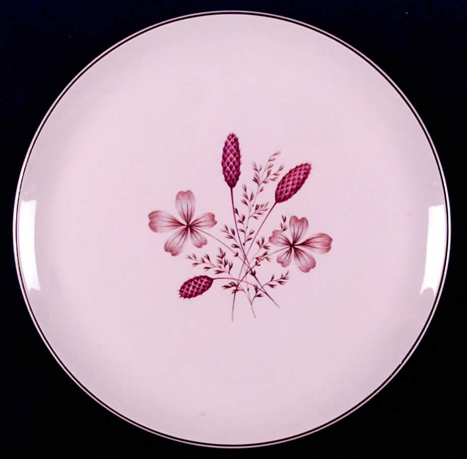 CRO32 Dinner Plate by Crooksville-1