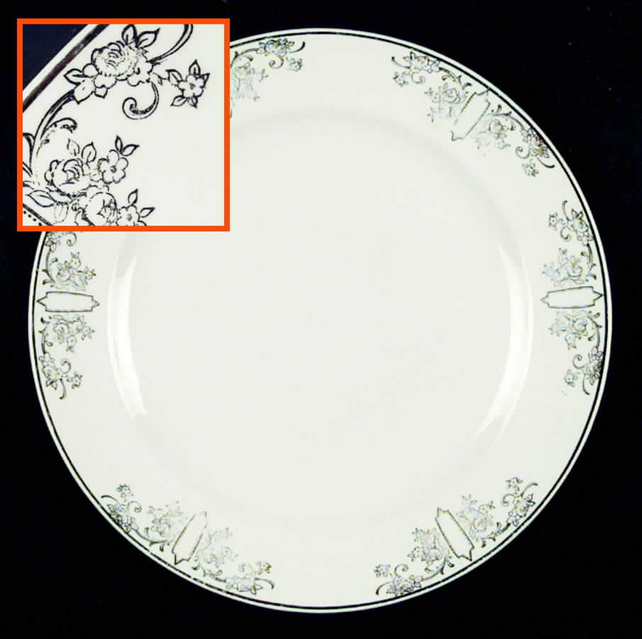 CRO36 Dinner Plate by Crooksville-1
