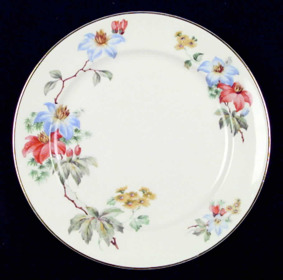 CRO39 Dinner Plate by Crooksville-1
