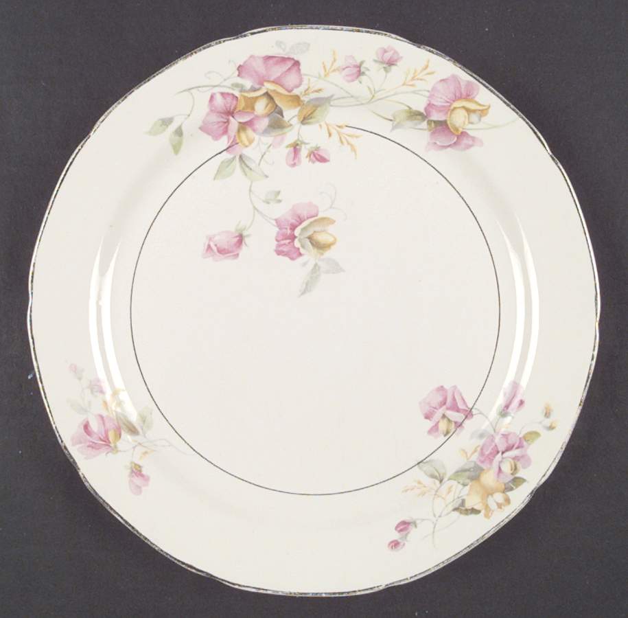 437 Dinner Plate by Crooksville-1