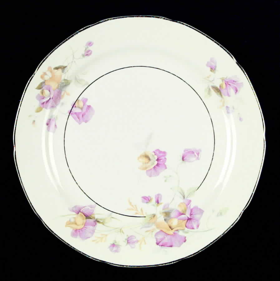 CRO42 Dinner Plate by Crooksville-1
