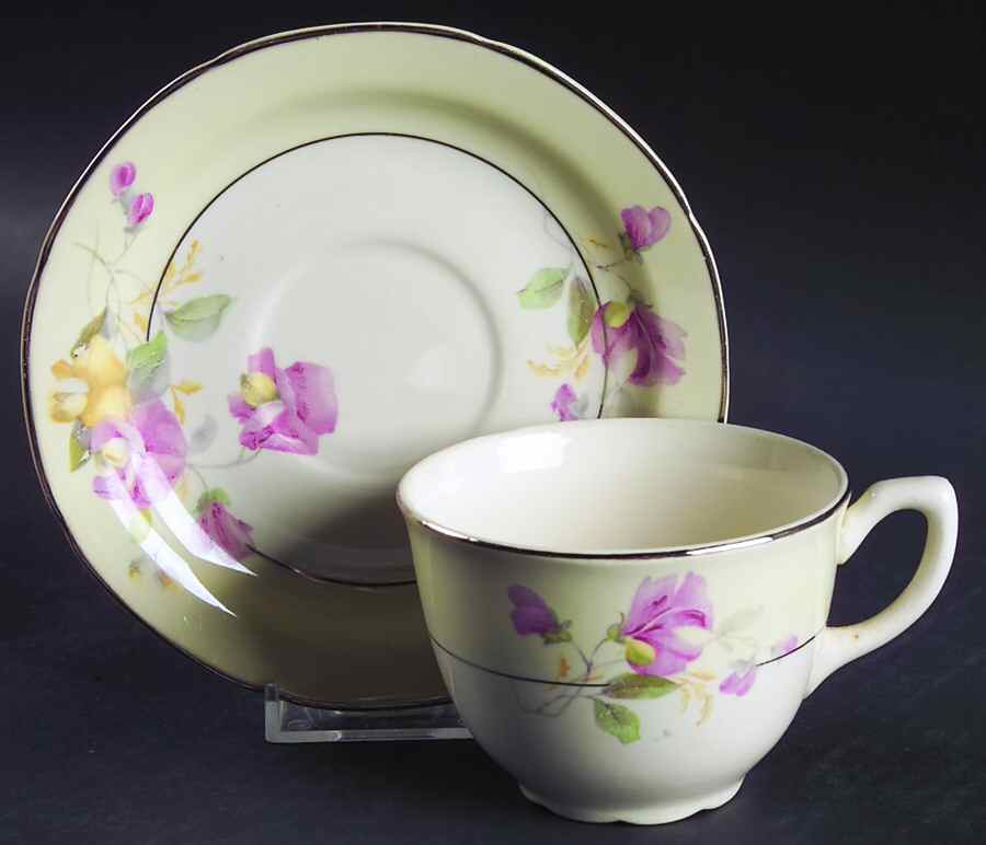 CRO42 Footed Cup & Saucer Set by Crooksville-1