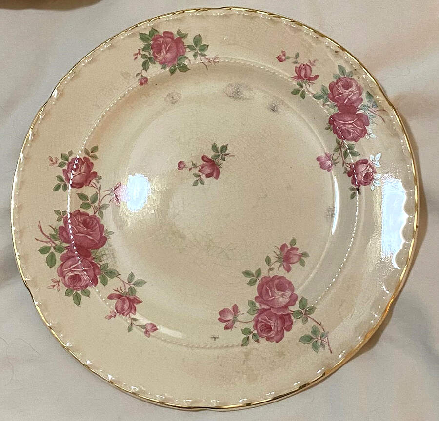 CRO45 Dinner Plate by Crooksville-1