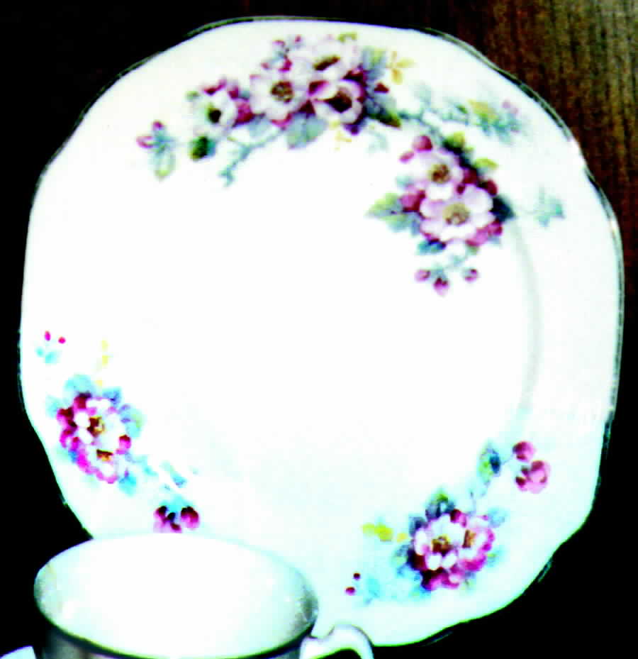 Pw22 Dinner Plate by Crooksville-1