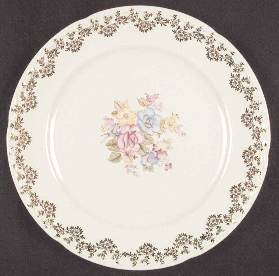 CRO58 Dinner Plate by Crooksville-1