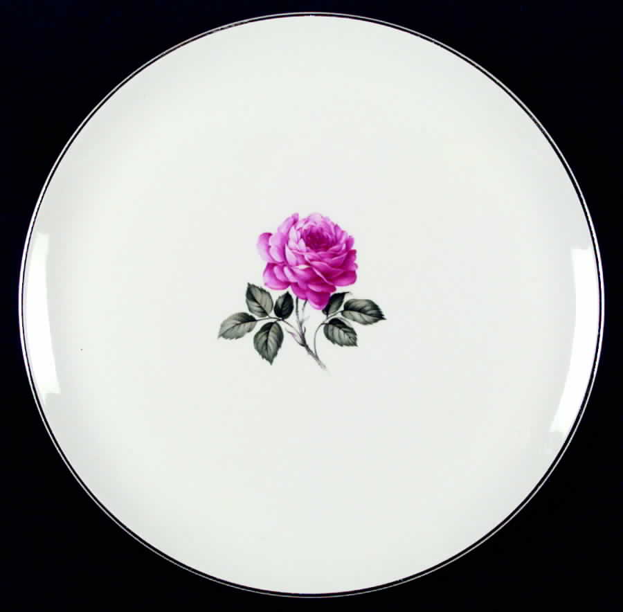 CRO59 Dinner Plate by Crooksville-1