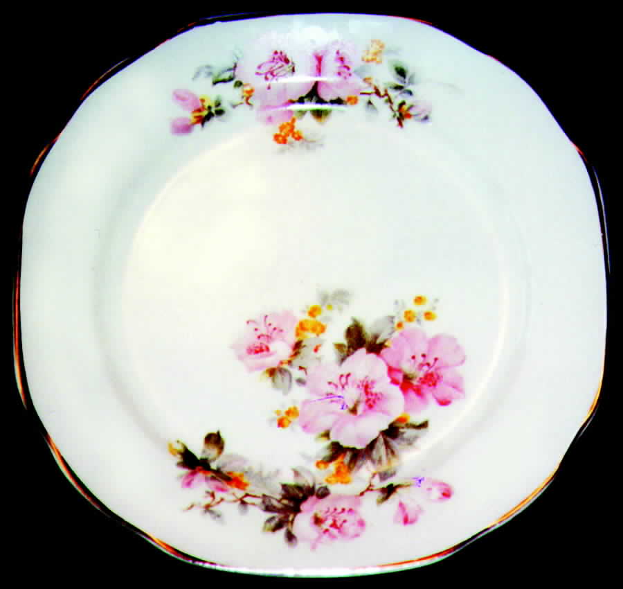 CRO7 Dinner Plate by Crooksville-1