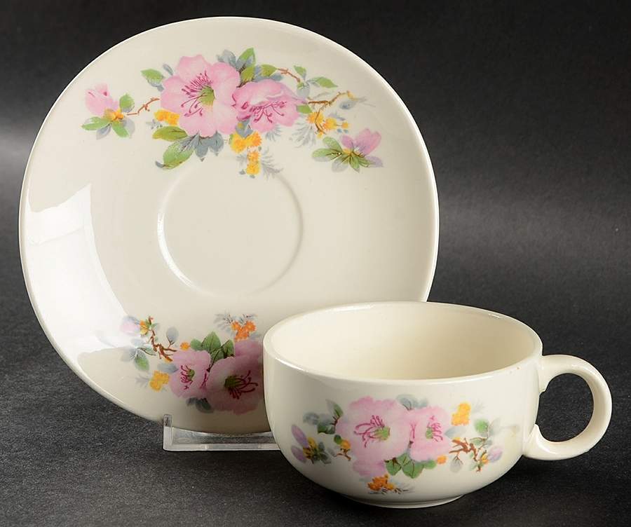 Azalea Flat Cup & Saucer Set by Crooksville-1