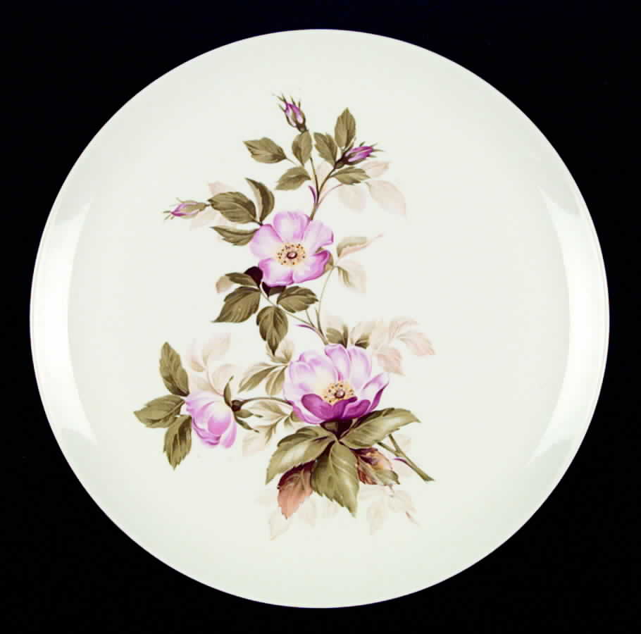 CRO72 Dinner Plate by Crooksville-1