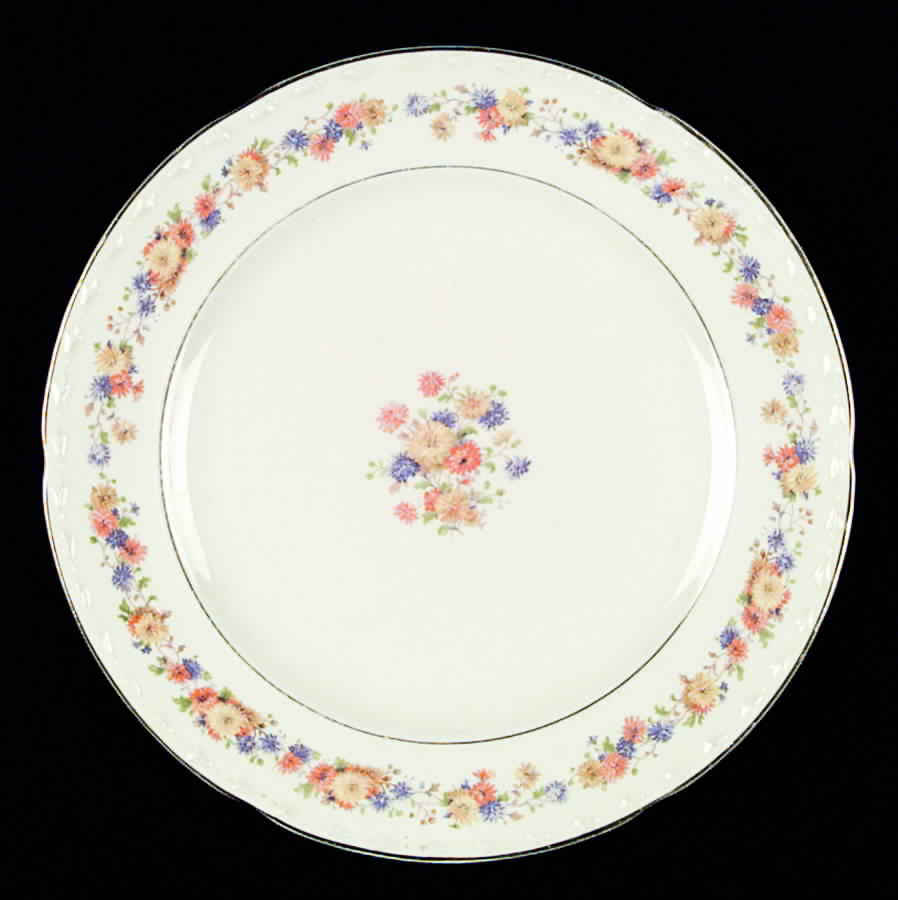CRO75 Dinner Plate by Crooksville-1