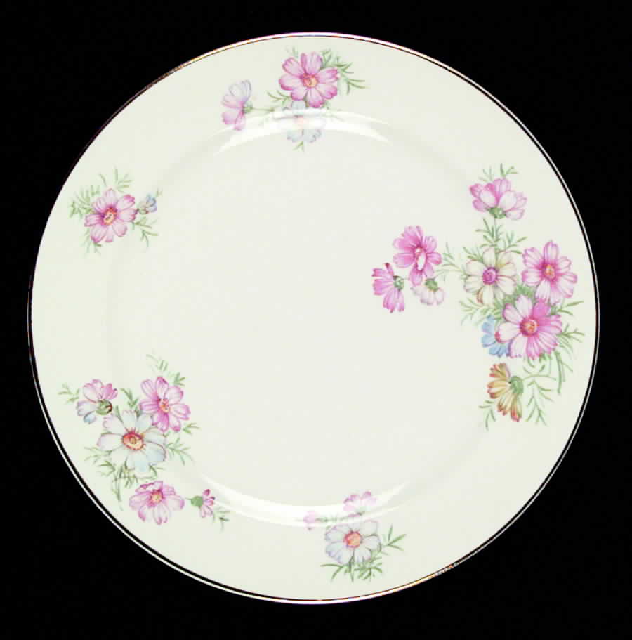 CRO76 Dinner Plate by Crooksville-1