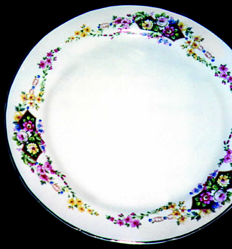 CRO80 Dinner Plate by Crooksville-1