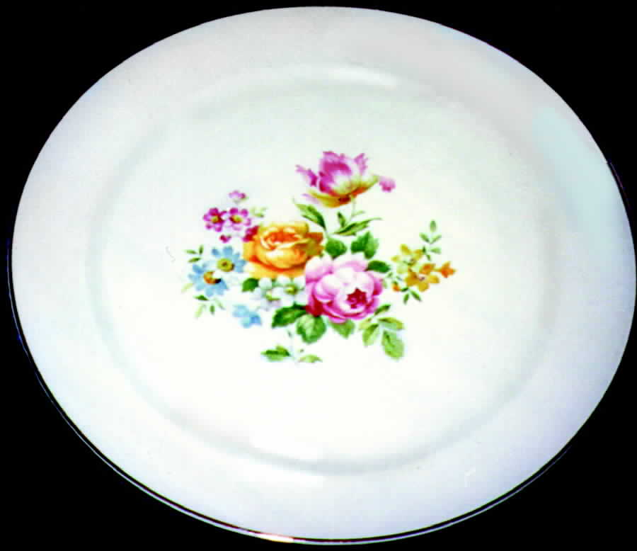 CRO83 Dinner Plate by Crooksville-1