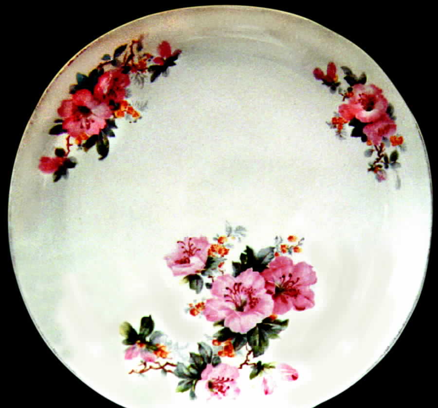 CRO87 Dinner Plate by Crooksville-1