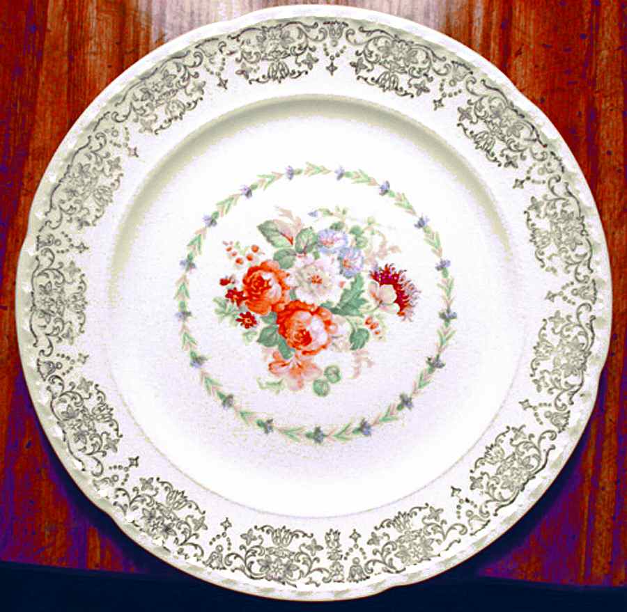 CRO88 Dinner Plate by Crooksville-1