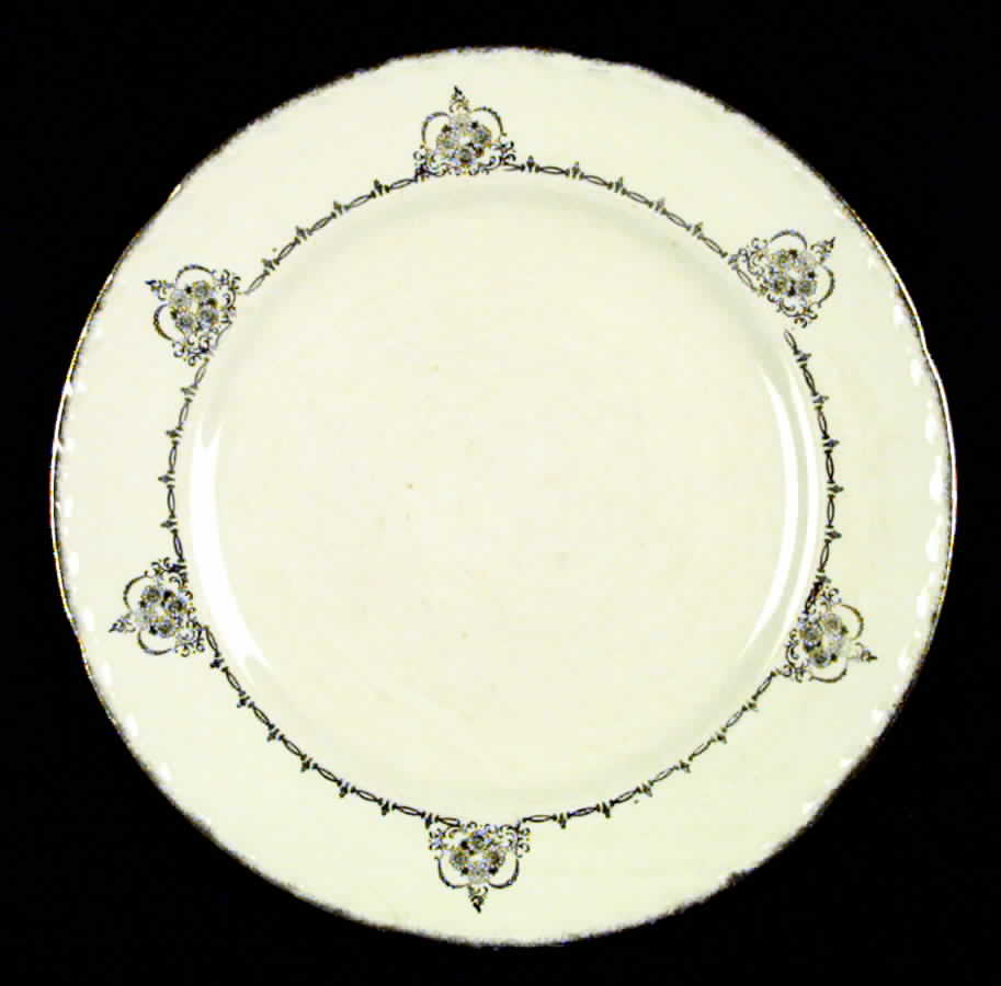 CRO9 Dinner Plate by Crooksville-1
