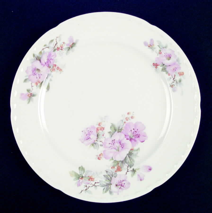 CRO91 Dinner Plate by Crooksville-1