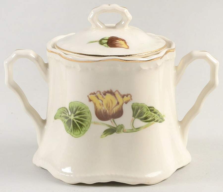 Delmar Begonia Sugar Bowl & Lid by Crooksville-1