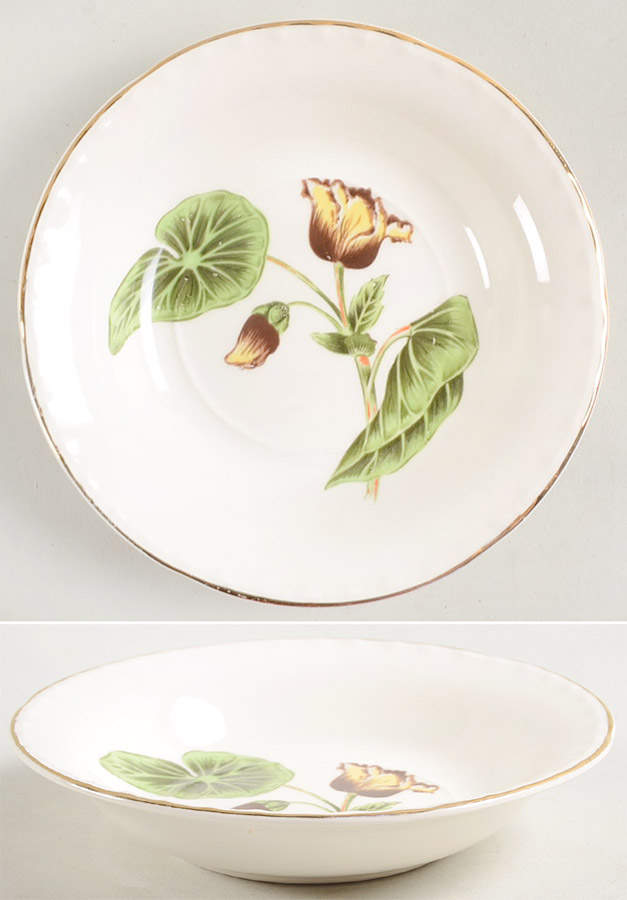 Delmar Begonia Fruit/Dessert (Sauce) Bowl by Crooksville-1