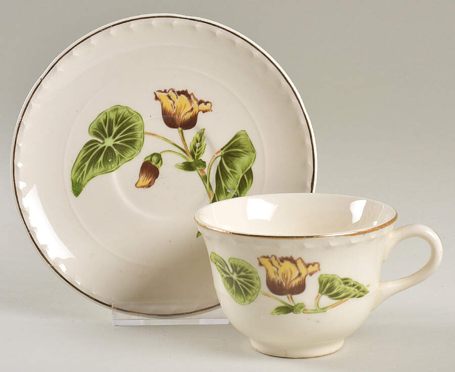 Delmar Begonia Flat Cup & Saucer Set by Crooksville-1