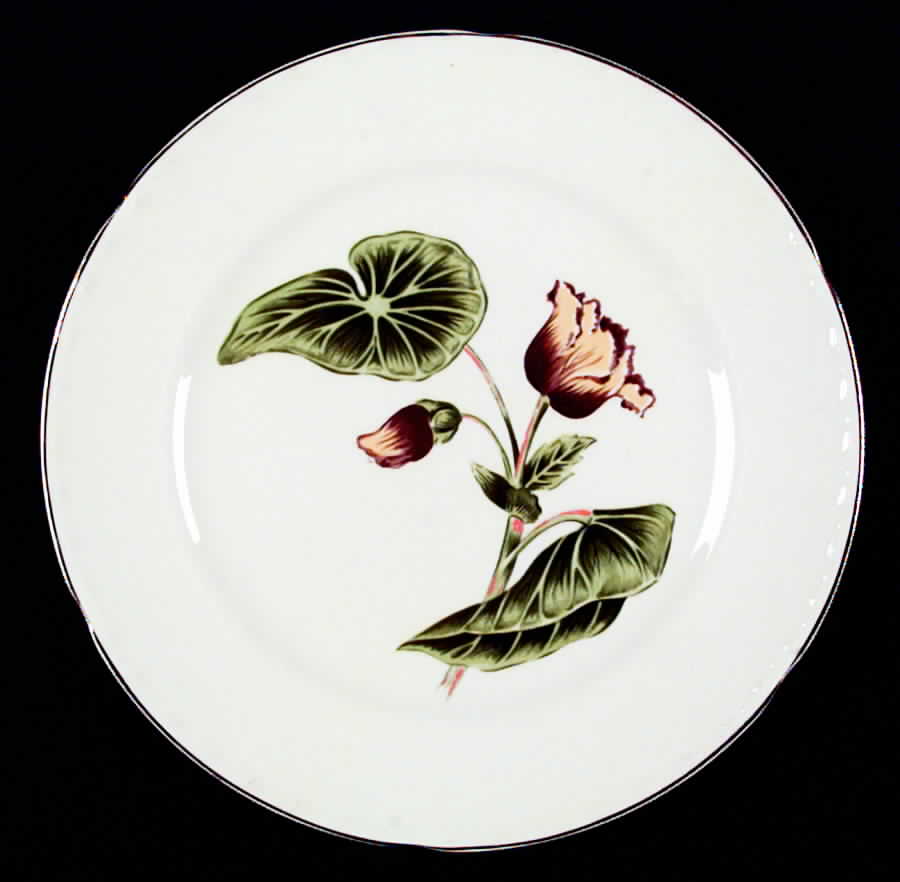 Delmar Begonia Dinner Plate by Crooksville-1