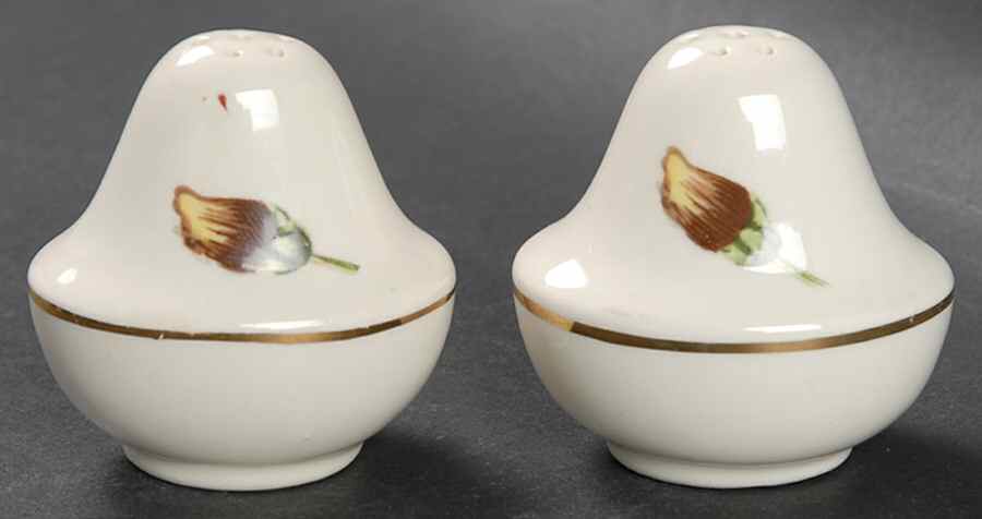 Delmar Begonia Salt & Pepper Set by Crooksville-1
