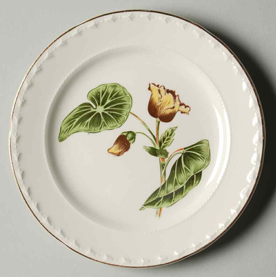 Delmar Begonia Bread & Butter Plate by Crooksville-1