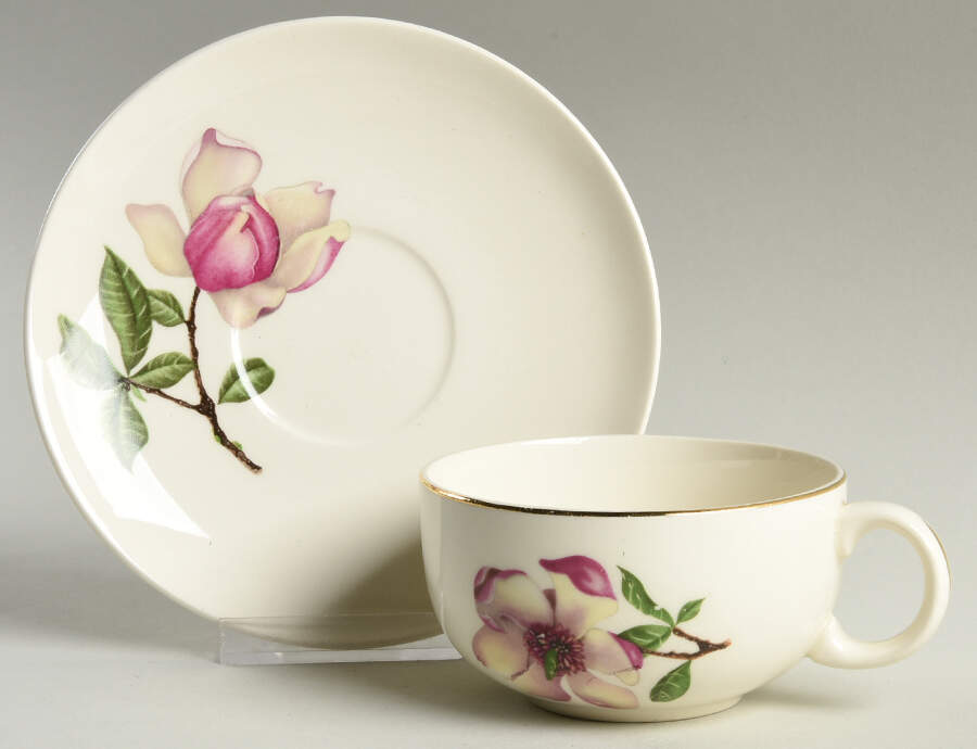Delmar Diana Flat Cup & Saucer Set by Crooksville-1