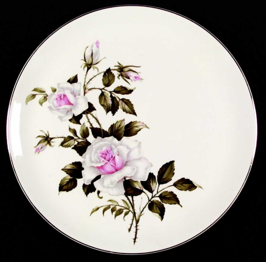Delmar Marie Dinner Plate by Crooksville-1