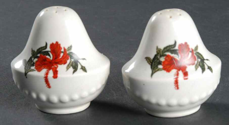 Hibiscus Salt & Pepper Set by Crooksville-1