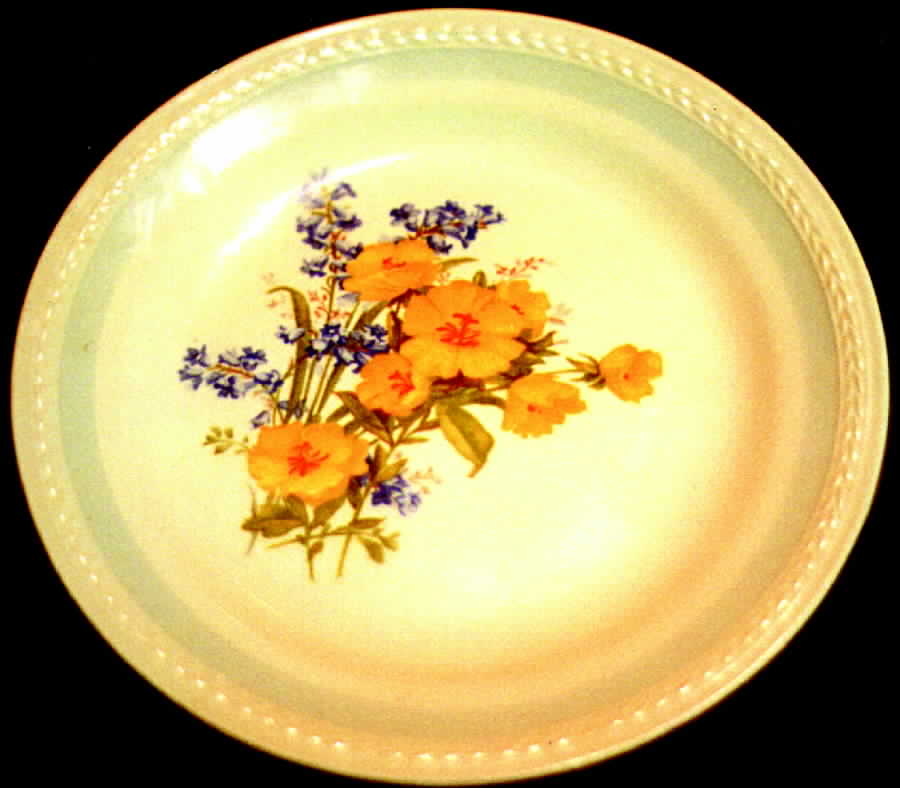 CRP32 Dinner Plate by Crown Potteries-1