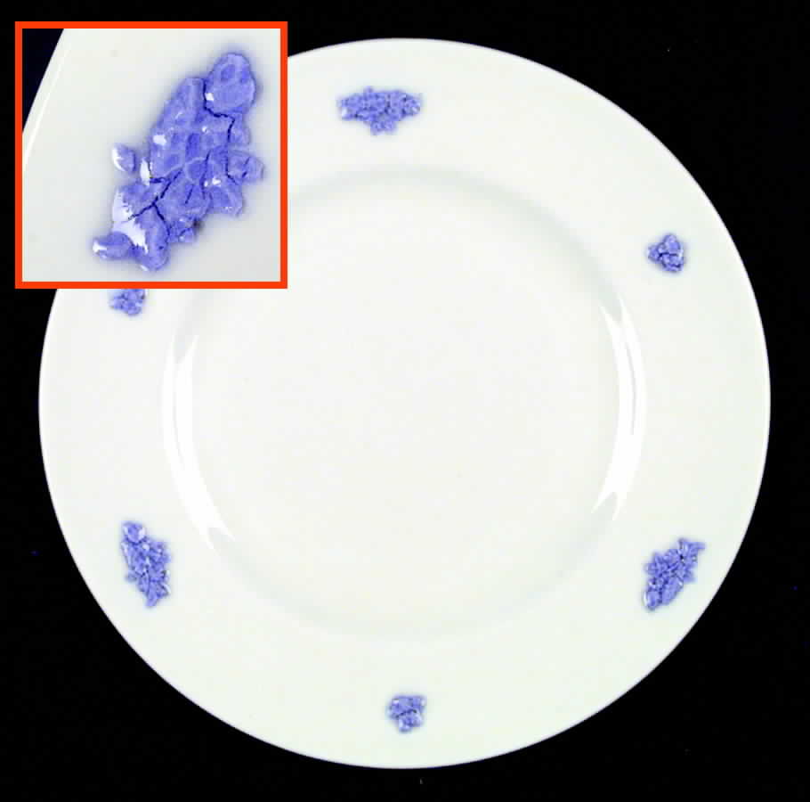 CRS10 Dinner Plate by Crown Staffordshire-1