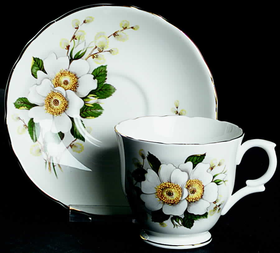 CRS12 Footed Cup & Saucer Set by Crown Staffordshire-1
