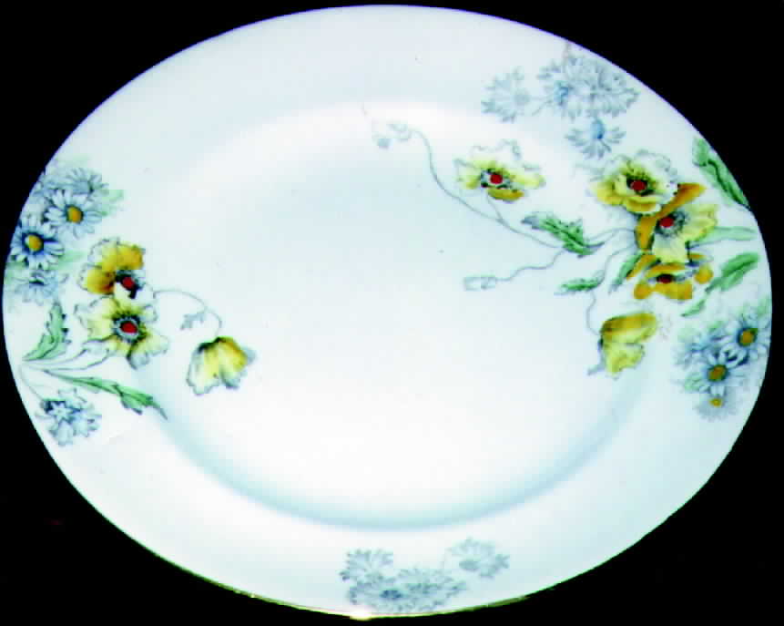 CRS19 Dinner Plate by Crown Staffordshire-1