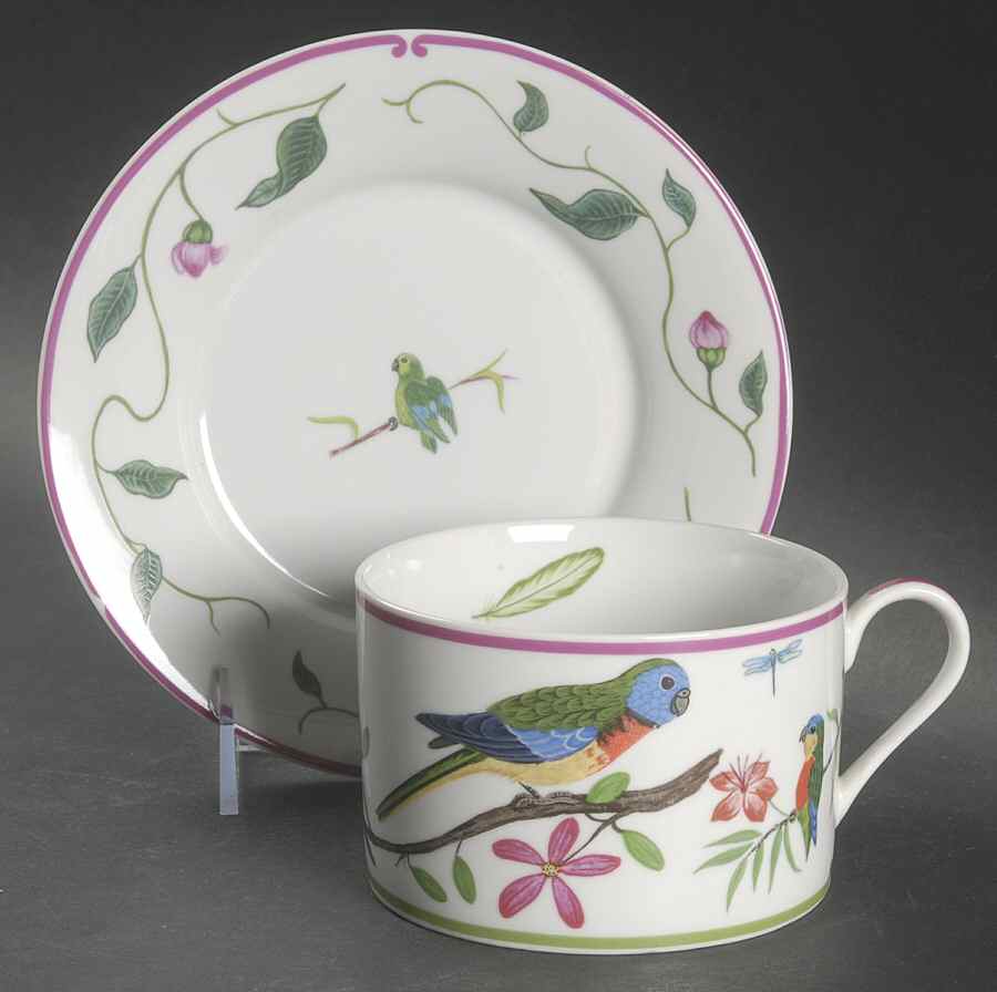 Parrots of Paradise Breakfast Cup & Saucer Set by Lynn Chase-1