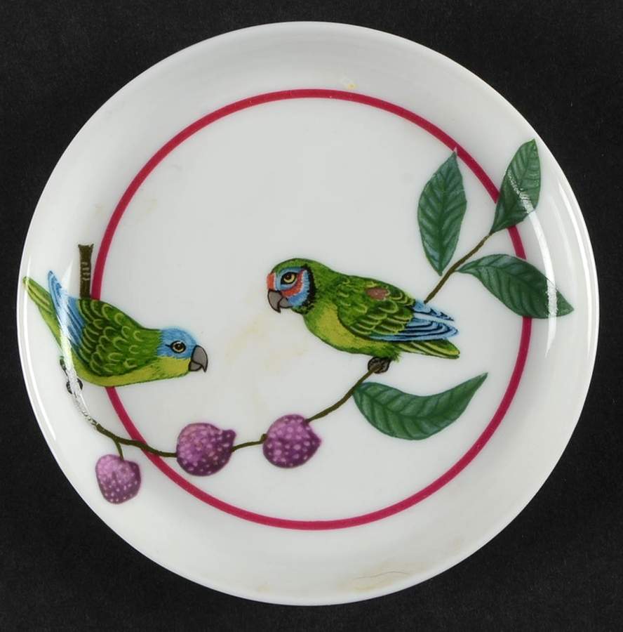 Parrots of Paradise Coaster by Lynn Chase-1