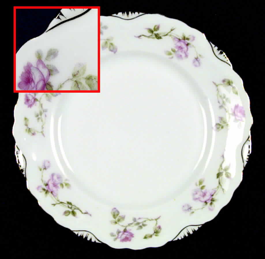 24045 (Altwasser) Salad Plate by Carl Tielsch-1