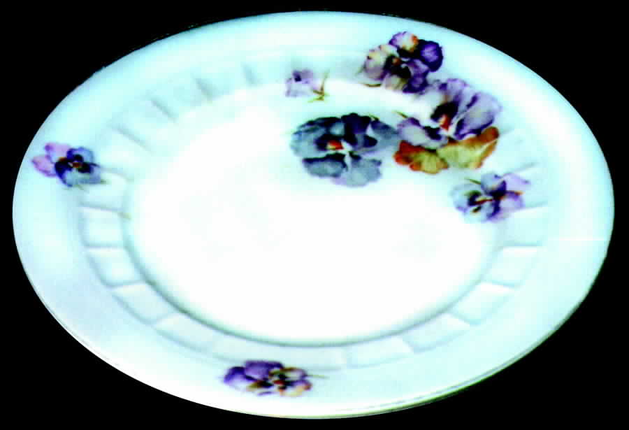 2937 Dinner Plate by Carl Tielsch-1