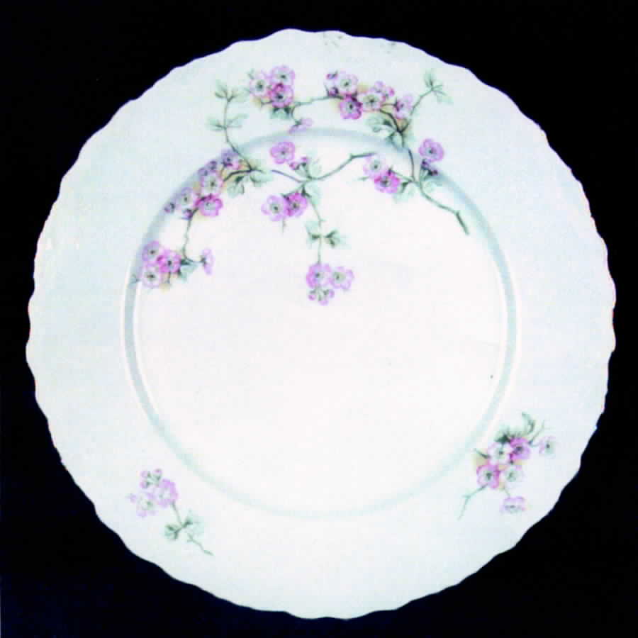 CTI10 Dinner Plate by Carl Tielsch-1