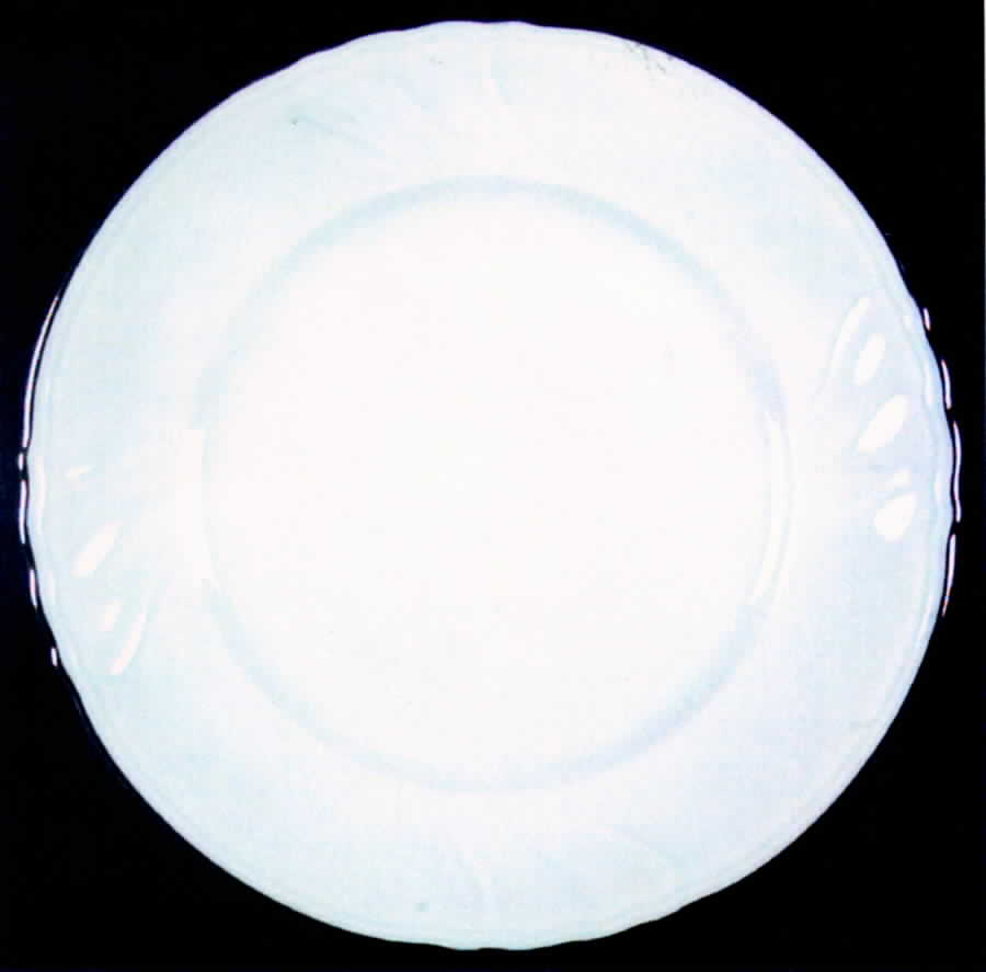 CTI17 Dinner Plate by Carl Tielsch-1